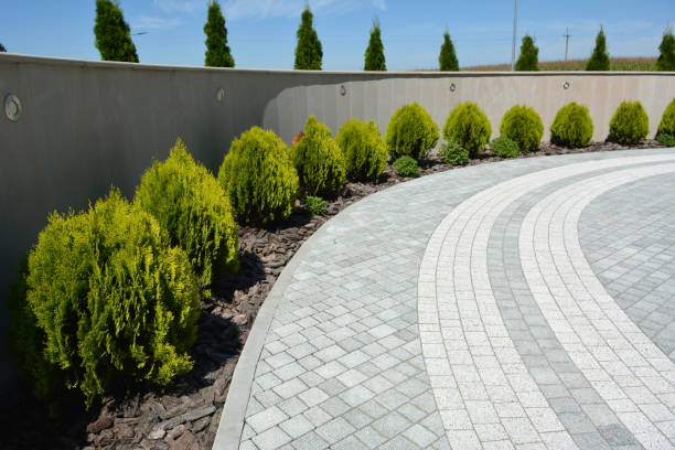 Best Interlocking Driveway Pavers  in Marquette, MI